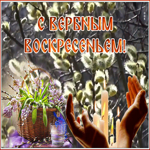 Открытка поздравительная картинка с вербным воскресеньем