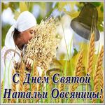 Открытка поздравительная открытка день святой натальи овсяницы