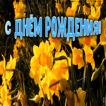 Открытка поздравление женщине с нарциссами
