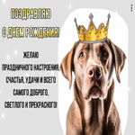 Postcard поздравляю с днем рождения! желаю праздничного настроения