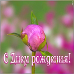 Картинка поздравляю с днём рождения женщине