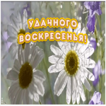Открытка пожелание удачного воскресенья