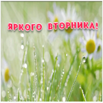 Картинка пожелание яркого вторника