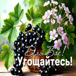 Postcard позитивная гиф-открытка, для вас, угощайтесь