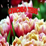 Открытка прекрасная анимация спасибо