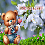 Picture прекрасная гиф-открытка, привет от медвежонка