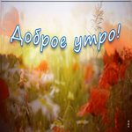 Открытка прекрасная открытка доброе утро