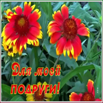 Картинка прекрасная открытка подруге
