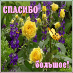 Открытка прекрасная открытка спасибо
