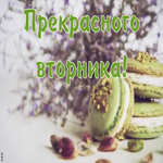 Открытка прекрасного вторника искренне желаю