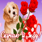 Открытка прелестная открытка скучаю