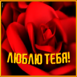 Открытка прикольная открытка любимой