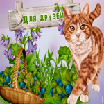 Открытка прикольная открытка моим виртуальным друзьям