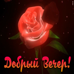 Картинка прикольное пожелание доброго вечера