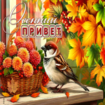 Postcard приятная гиф-открытка, шлет осенний привет