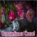 Postcard приятная гиф-открытка , волшебных снов