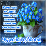 Picture приятная картинка, доброй и тёплой субботы!