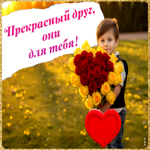 Picture приятная открытка, цветы прекрасному другу