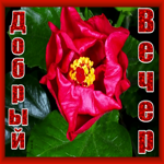 Открытка приятная открытка добрый вечер