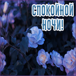 Postcard приятная открытка спокойной ночи с розочками