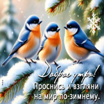 Picture проснись и взгяни на мир по-зимнему