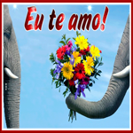 Postcard pt-love