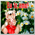 Picture pt-love