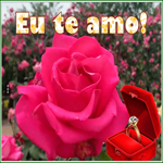 Postcard pt-love