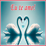 Postcard pt-love