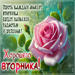 Postcard пусть каждый момент вторника будет наполнен радостью и успехом