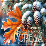 Postcard пусть сегодня вас окружает красота! среда