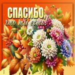 Postcard пылкая гиф-открытка, спасибо, что ты есть