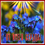 Picture с цветами