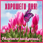 Открытка самая приятная картинка хорошего дня