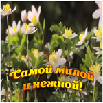 Картинка самой милой и нежной