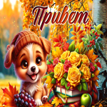 Postcard щедрая гиф-открытка, большой тебе приветик