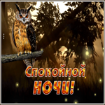 Открытка сияющая картинка спокойной ночи с совой