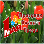 Postcard сияющая картинка с 1 мая