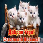 Postcard сияющая открытка с пожеланием доброго утра понедельника