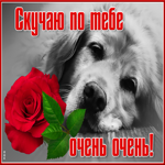 Картинка славная картинка скучаю