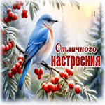 Postcard снежная чудесная гифка отличного настроения