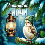 Picture снежная искренняя гифка спокойной ночи