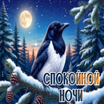 Postcard снежная красивая гифка спокойной ночи