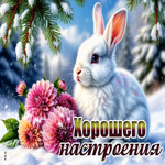 Picture снежная сияющая гифка хорошего настроения