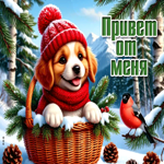 Picture снежная светлая гифка привет от меня