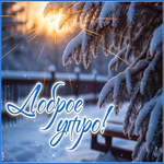 Postcard снежная трепетная гифка доброе утро