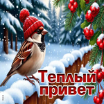 Picture снежная трогательная гифка теплый привет
