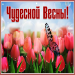 Картинка солнечная открытка счастливой весны