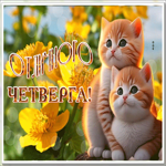 Postcard солнечная открытка с пожеланием отличного четверга