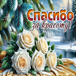 Picture спасибо за красоту